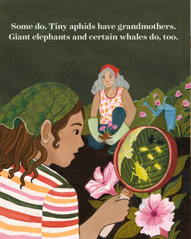 Sample content 2_Grandmother Effect