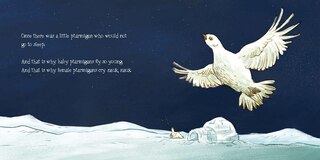 Sample content_Grandmother Ptarmigan