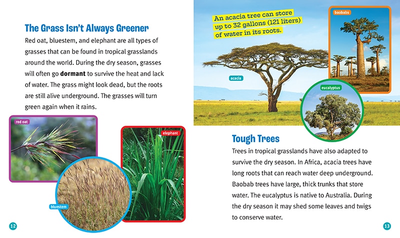 Sample content 2_Grasslands in Danger (A True Book: The Earth at Risk)