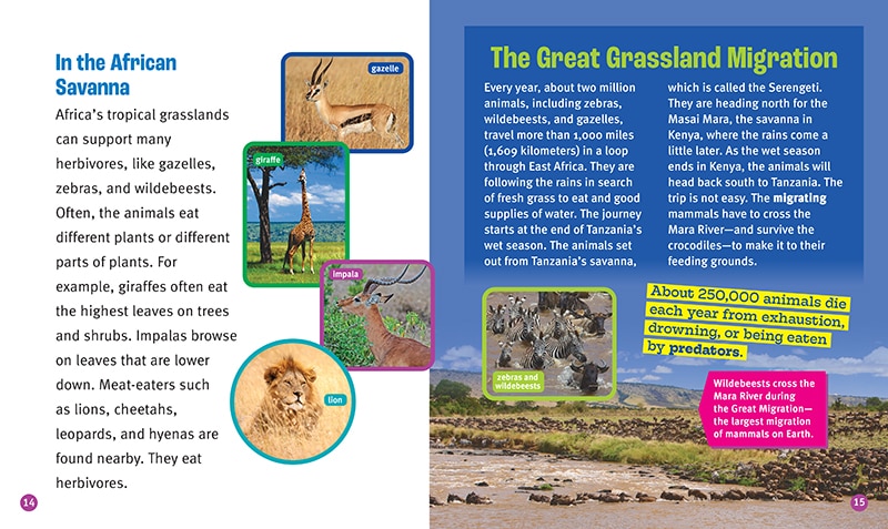 Sample content 3_Grasslands in Danger (A True Book: The Earth at Risk)