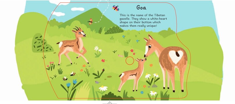 Aper&ccedil;u du contenu_Grasslands