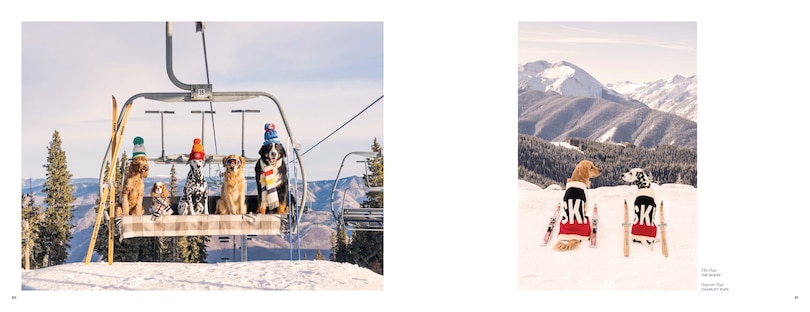 Sample content 5_Gray Malin: Snow