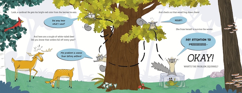 Sample content_Gray Squirrel Loses It!