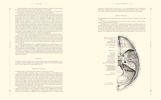 Sample content_GRAYS ANATOMY