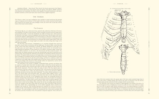 Sample content 3_GRAYS ANATOMY