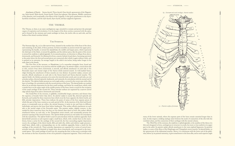 Sample content 3_GRAYS ANATOMY