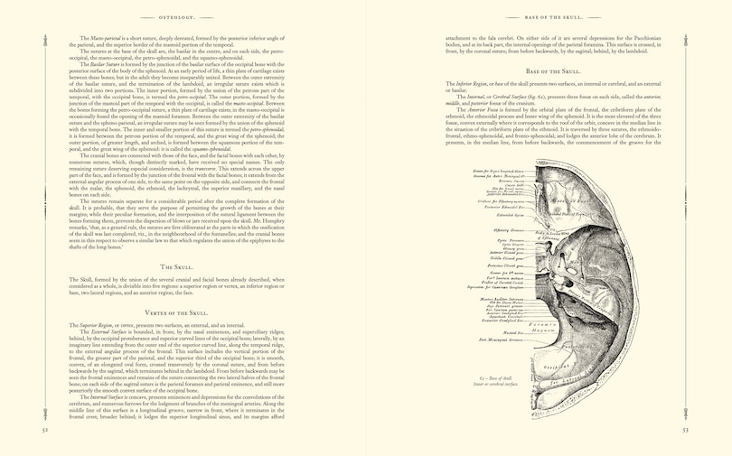 Aper&ccedil;u du contenu 4_GRAYS ANATOMY