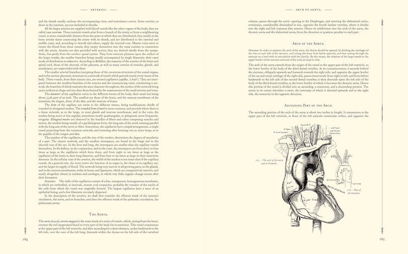 Aper&ccedil;u du contenu 5_GRAYS ANATOMY