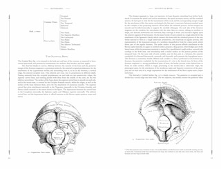 Sample content 2_Gray's Anatomy