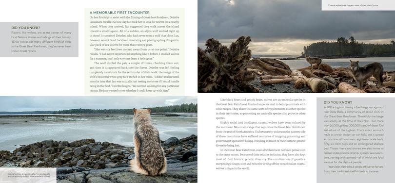 Aperçu du contenu 4_Great Bear Rainforest