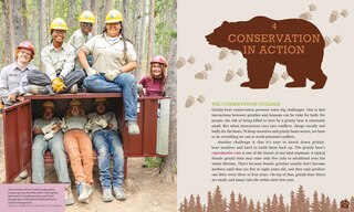 Aperçu du contenu 5_Grizzly Bears