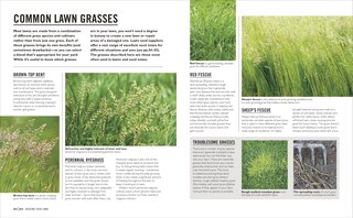 Sample content 2_Grow Lawns