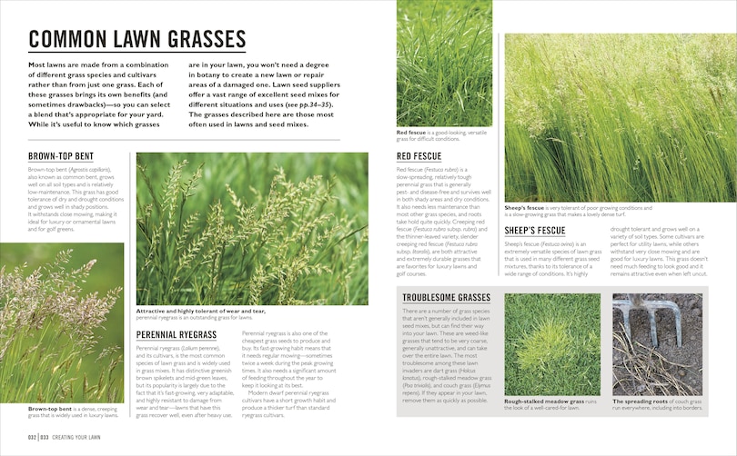 Sample content 2_Grow Lawns