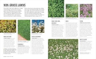 Sample content 4_Grow Lawns