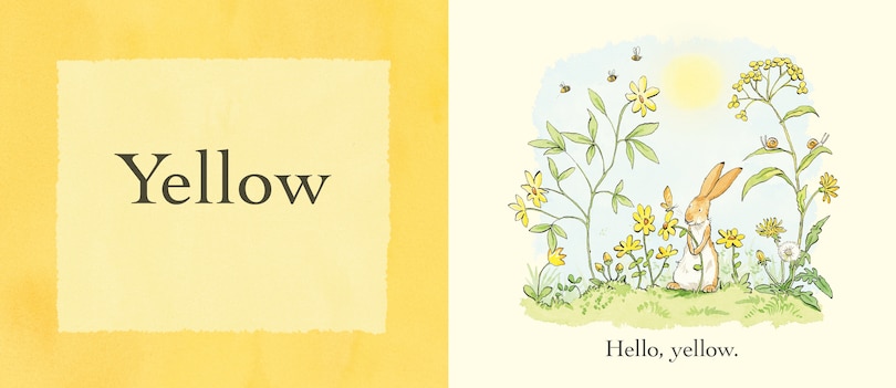 Aper&ccedil;u du contenu 4_Guess How Much I Love You: Colors