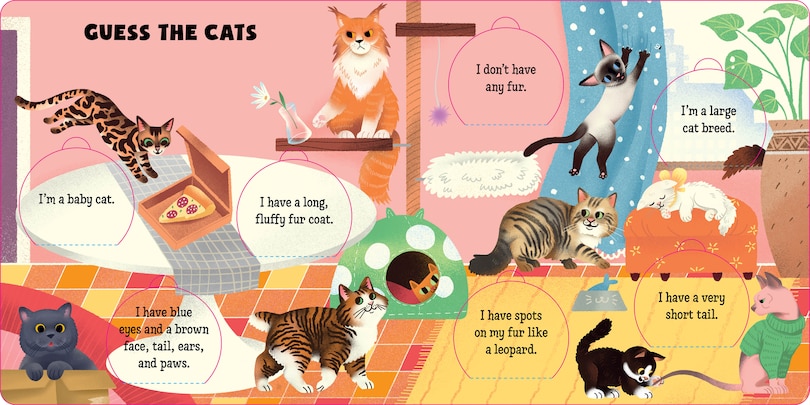 Sample content_Guess the Pet