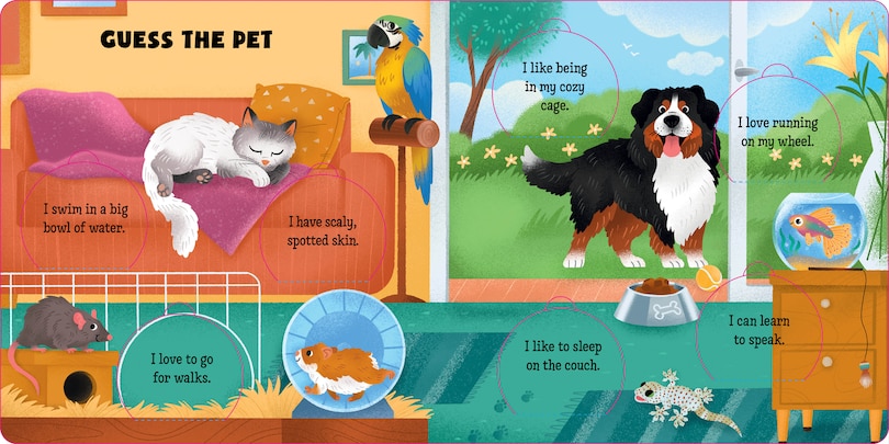 Sample content 3_Guess the Pet