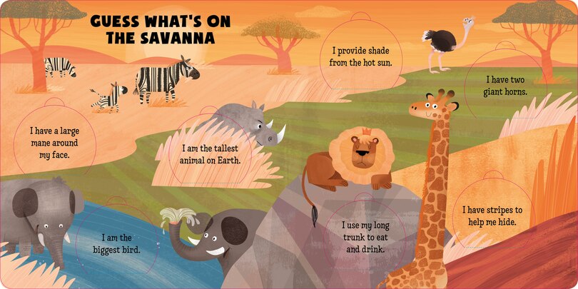 Aper&ccedil;u du contenu 2_Guess What's in Nature