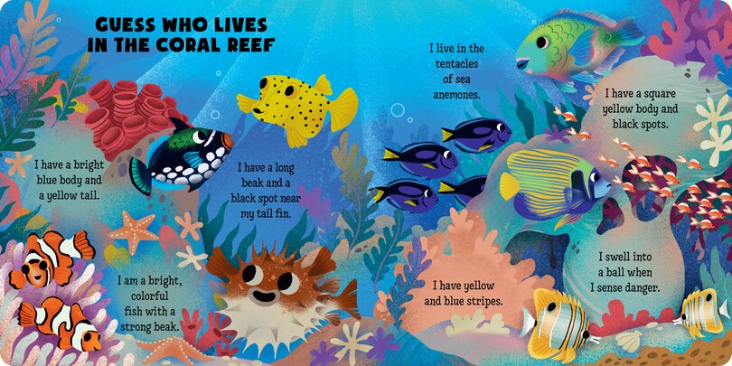 Sample content 3_Guess What's in the Ocean