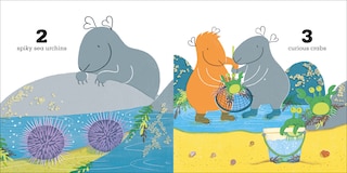 Aper&ccedil;u du contenu 3_Guinea Pigs Go To The Beach