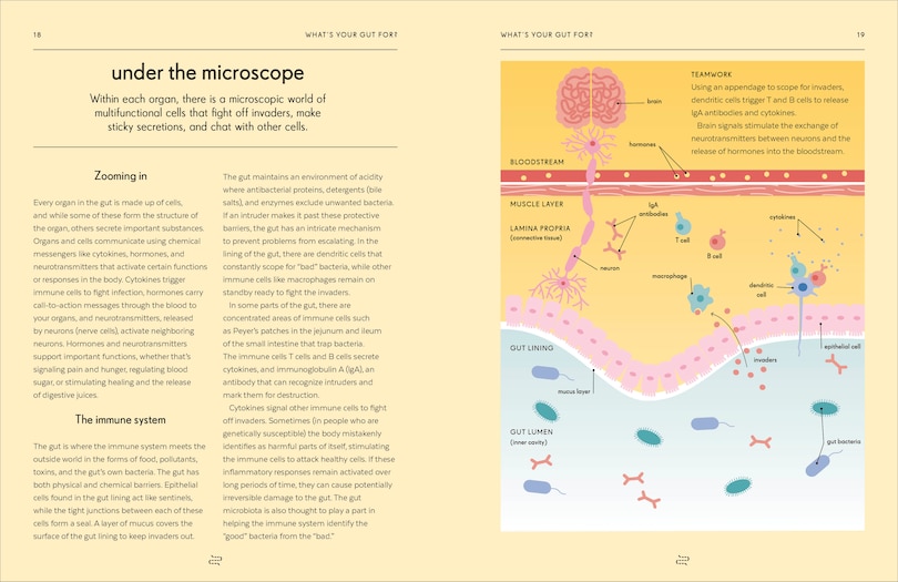 Sample content 4_Gut