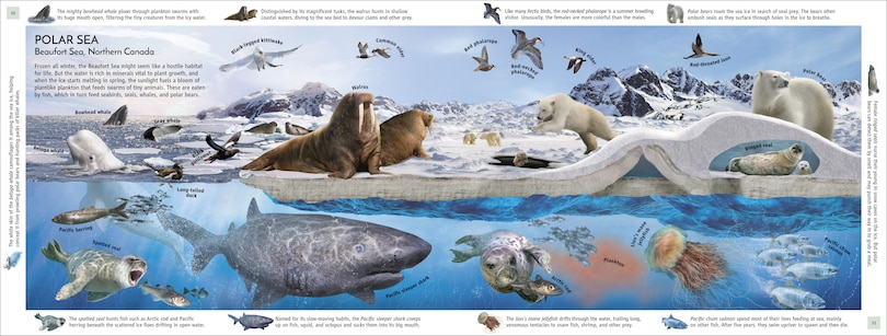 Sample content_Habitats Of The World