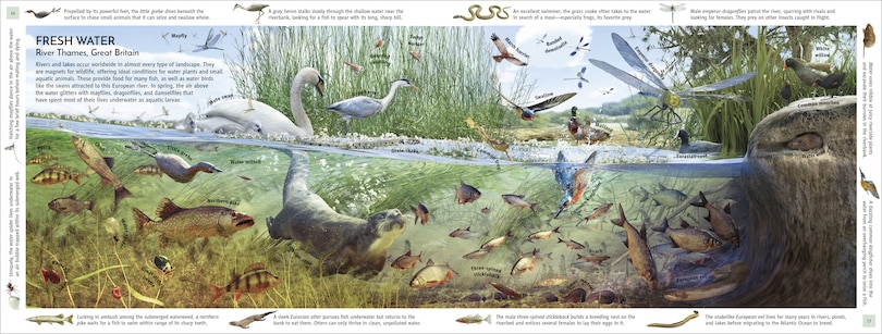 Sample content 2_Habitats Of The World