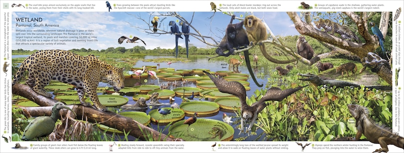 Sample content 3_Habitats Of The World