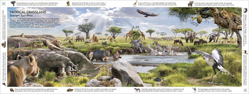 Sample content 4_Habitats Of The World