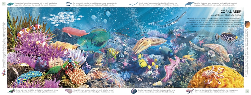 Sample content 5_Habitats Of The World