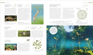 Sample content 2_Habitats