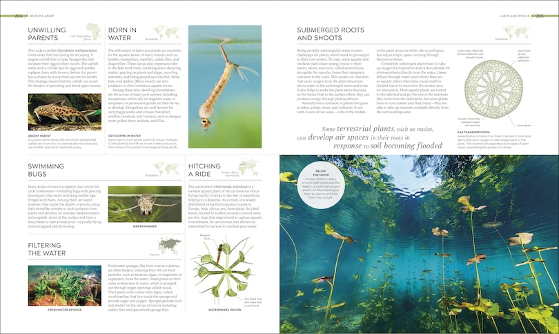 Sample content 2_Habitats