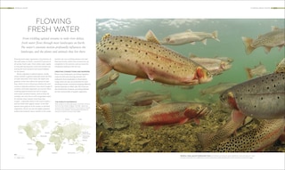 Sample content 3_Habitats