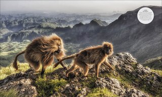 Sample content 4_Habitats