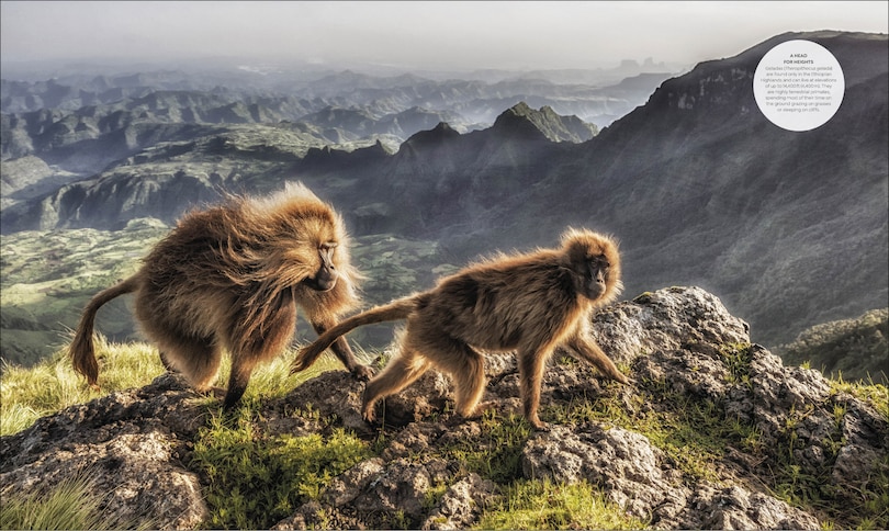 Sample content 4_Habitats