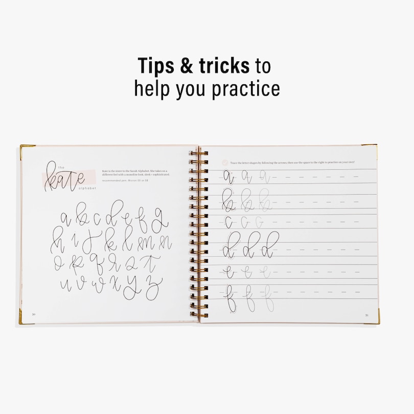 Sample content 4_Hand Lettering 201