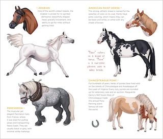 Sample content 2_Happy Herd of Tattoo Horses & Ponies