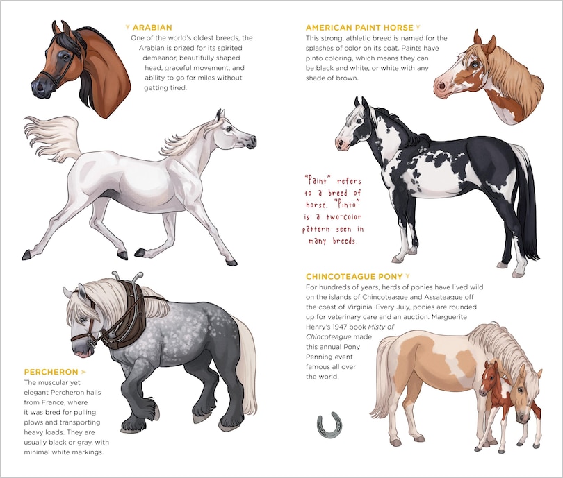 Sample content 2_Happy Herd of Tattoo Horses & Ponies