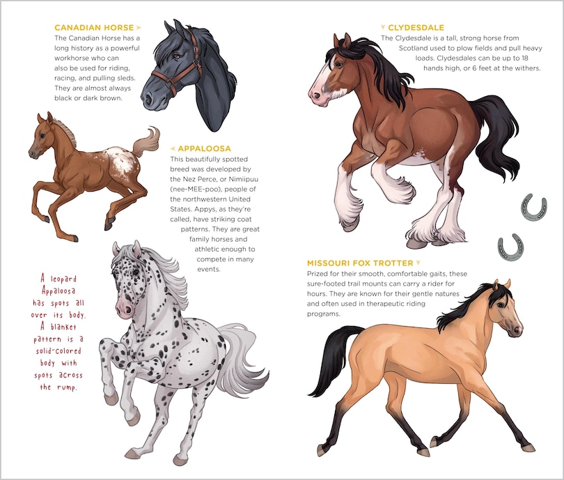 Sample content 3_Happy Herd of Tattoo Horses & Ponies
