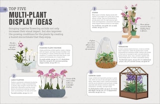 Sample content_Happy Orchid