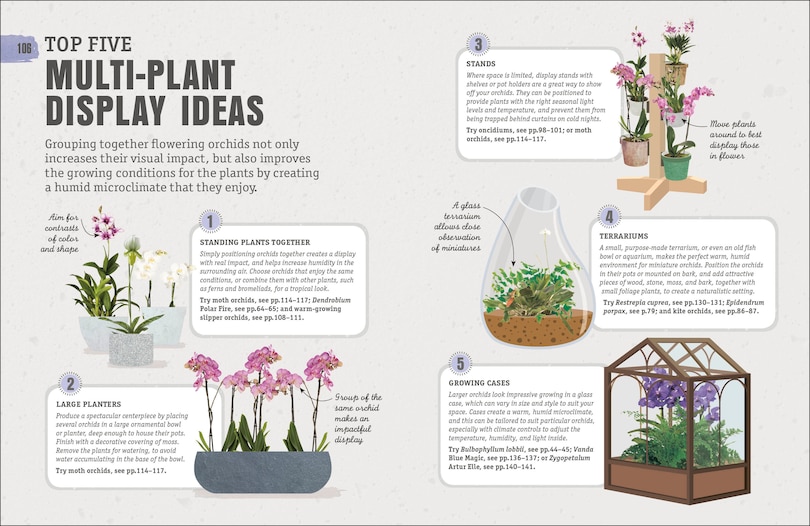 Sample content_Happy Orchid