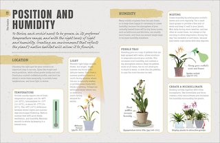 Sample content 3_Happy Orchid