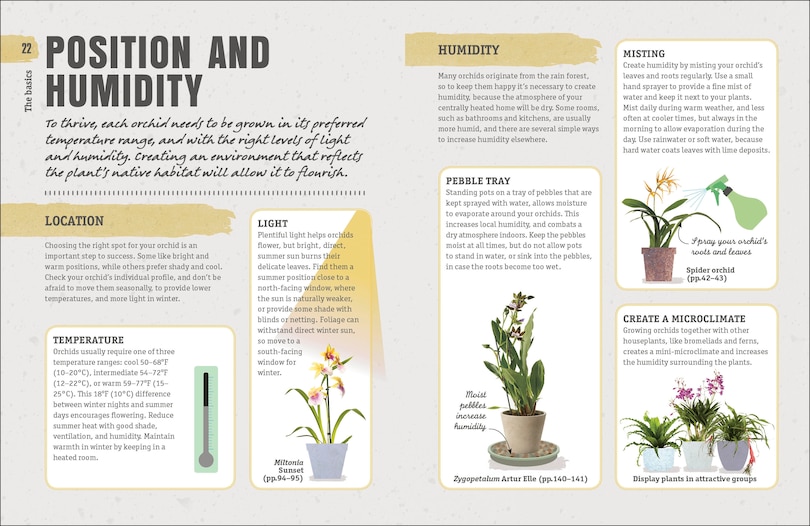 Sample content 3_Happy Orchid