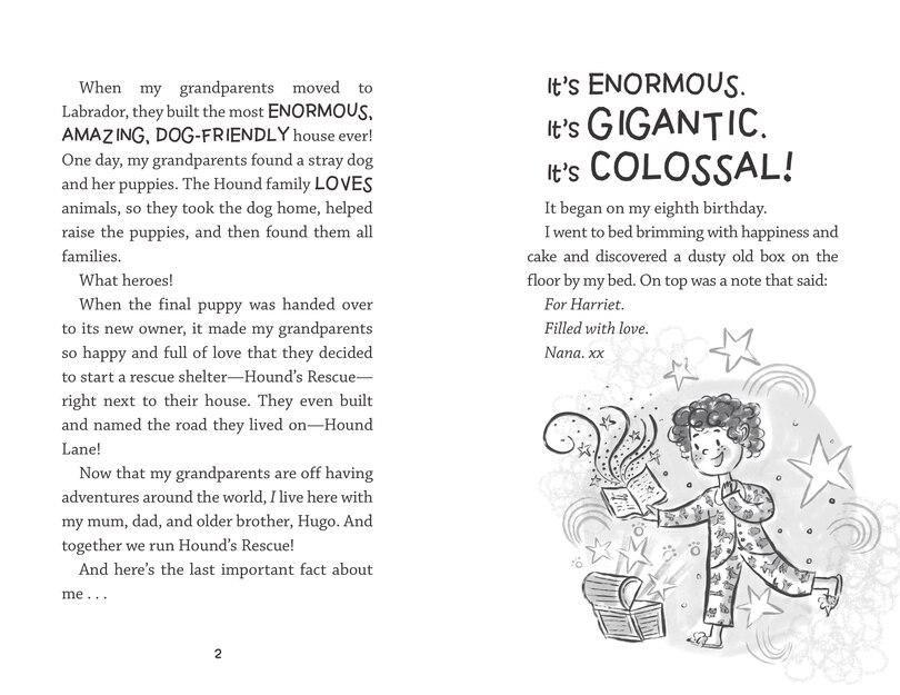 Sample content 2_Harriet Hound