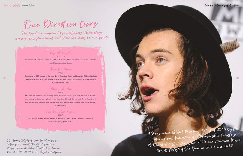 Sample content 5_Harry Styles: Adore You