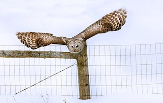 Sample content_Hastings