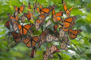 Sample content 2_Hastings