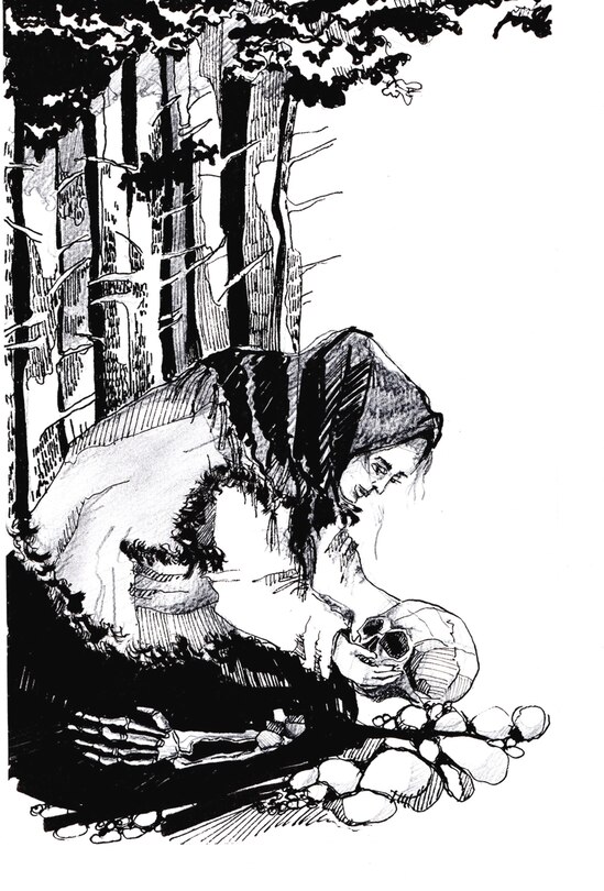 Aper&ccedil;u du contenu 3_Hatchet