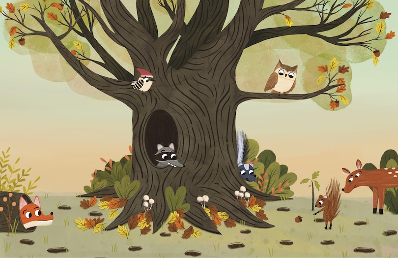 Sample content_Have You Seen My Acorn?