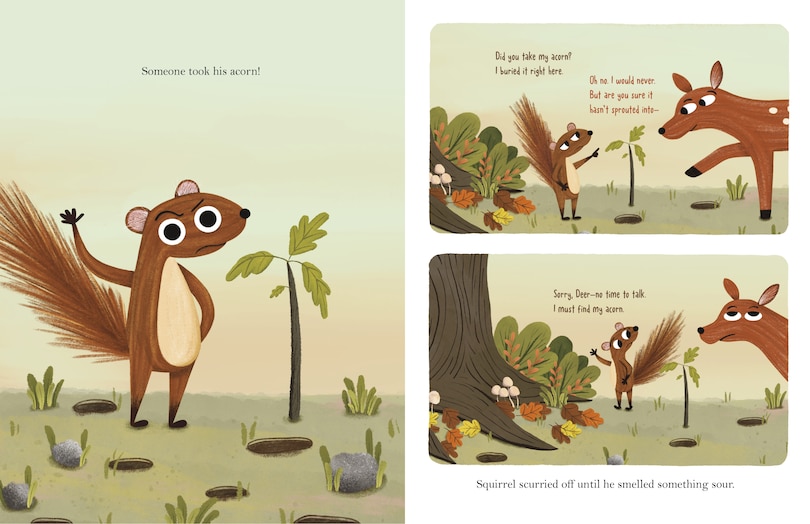 Sample content 5_Have You Seen My Acorn?